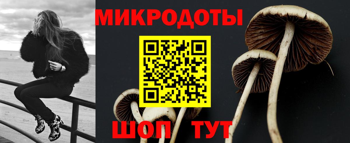 Псилоцибиновые грибы Psilocybe  Вход с VPN  Вышний Волочёк  Псилоцибиновые грибы мицелий 